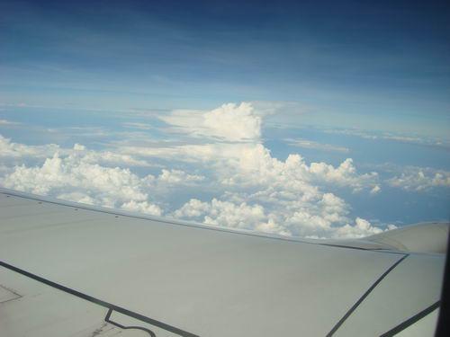 JT 070_resize.jpg